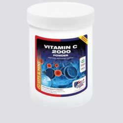 EQUINE AMERICA Vitamin C 2000