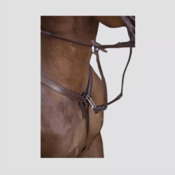 NORTON PRO Collier de chasse