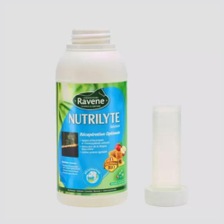 RAVENE Nutrilyte 500ml